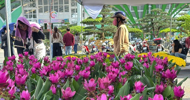 Thông tin mới nhất về thời tiết Tết Nguyên đán trên cả nước- Ảnh 1.