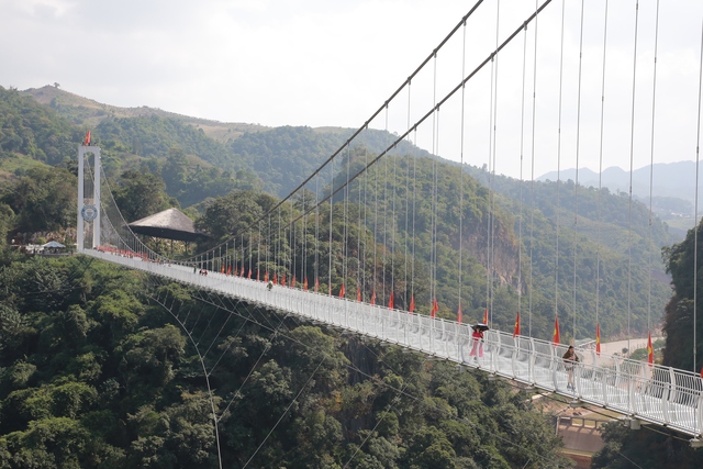 Mộc Châu khoác áo xuân: Trắng đồi mận, xanh đồi chè- Ảnh 7. Mộc Châu khoác áo xuân: Trắng đồi mận, xanh đồi chè- Ảnh 7.