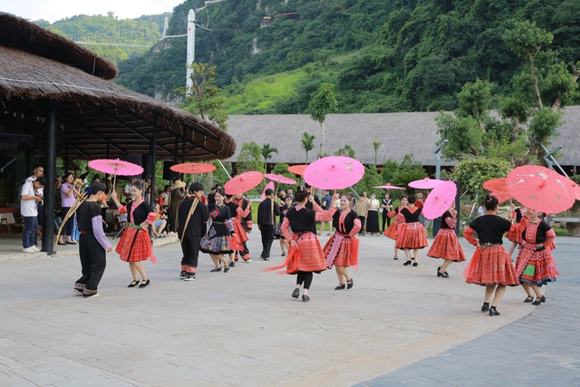 Mộc Châu khoác áo xuân: Trắng đồi mận, xanh đồi chè- Ảnh 9. Mộc Châu khoác áo xuân: Trắng đồi mận, xanh đồi chè- Ảnh 9.
