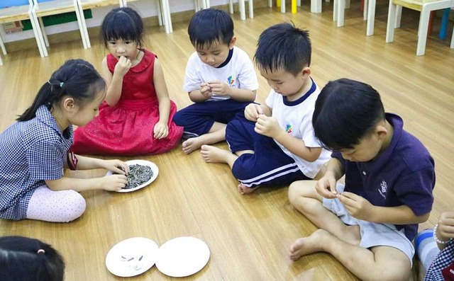 Ngày Tết, trẻ nhỏ cẩn thận hóc dị vật hạt dưa, hạt hướng dương- Ảnh 2.