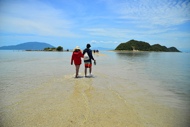 Du xuân thăm con đường giữa biển đẹp nhất ở Điệp Sơn bằng cách nào?- Ảnh 3.