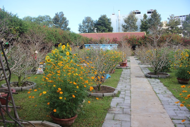 Nơi hội tụ các loài hoa và nghề truyền thống đón khách du xuân- Ảnh 8.