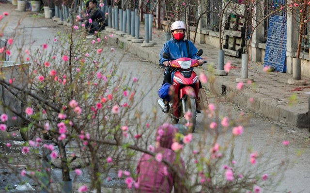 Các tỉnh thành phải chủ động ứng phó với thời tiết xấu dịp nghỉ Tết Nguyên đán 2026- Ảnh 1. Các tỉnh thành phải chủ động ứng phó với thời tiết xấu dịp nghỉ Tết Nguyên đán 2026- Ảnh 1.