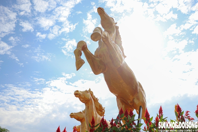 Người dân Khánh Hòa xúng xính áo mới du xuân cuối năm sớm- Ảnh 6.