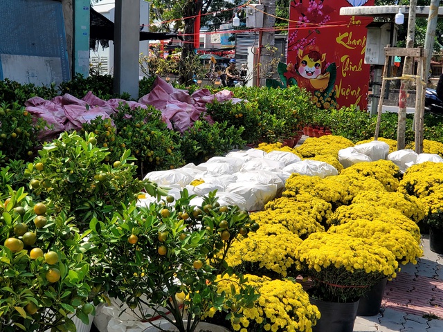 Người dân TPHCM nô nức trang hoàng nhà cửa, tất bật sắm mai, đào đón Tết- Ảnh 6. Người dân TPHCM nô nức trang hoàng nhà cửa, tất bật sắm mai, đào đón Tết- Ảnh 6.