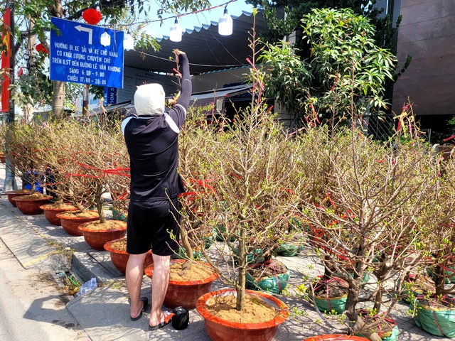 Người dân TPHCM nô nức trang hoàng nhà cửa, tất bật sắm mai, đào đón Tết- Ảnh 3. Người dân TPHCM nô nức trang hoàng nhà cửa, tất bật sắm mai, đào đón Tết- Ảnh 3.