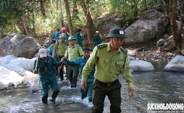 Giữ 'lá phổi xanh' bình yên trong những ngày Tết- Ảnh 6.