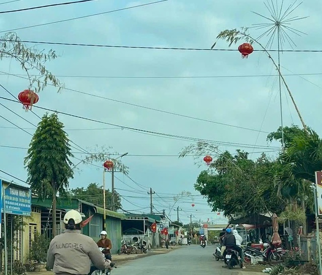 Rực rỡ cây nêu ngày Tết trên cao nguyên Đắk Lắk- Ảnh 1.