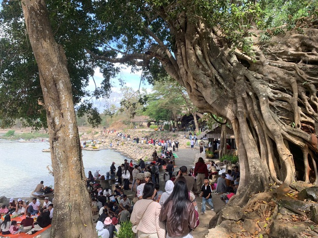 Hàng nghìn du khách đổ về Đắk Lắk đầu năm mới 2026- Ảnh 1. Hàng nghìn du khách đổ về Đắk Lắk đầu năm mới 2026- Ảnh 1.