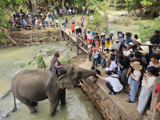 Hàng nghìn du khách đổ về Đắk Lắk đầu năm mới 2026- Ảnh 10. Hàng nghìn du khách đổ về Đắk Lắk đầu năm mới 2026- Ảnh 10.