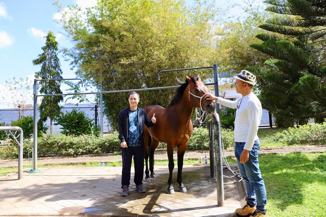 Du khách xếp hàng chờ cưỡi ngựa cầu may Tết Bính Ngọ- Ảnh 11.