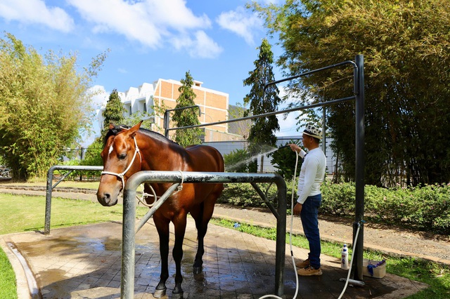 Du khách xếp hàng chờ cưỡi ngựa cầu may Tết Bính Ngọ- Ảnh 12.