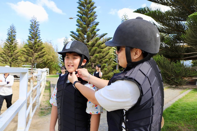 Du khách xếp hàng chờ cưỡi ngựa cầu may Tết Bính Ngọ- Ảnh 4.