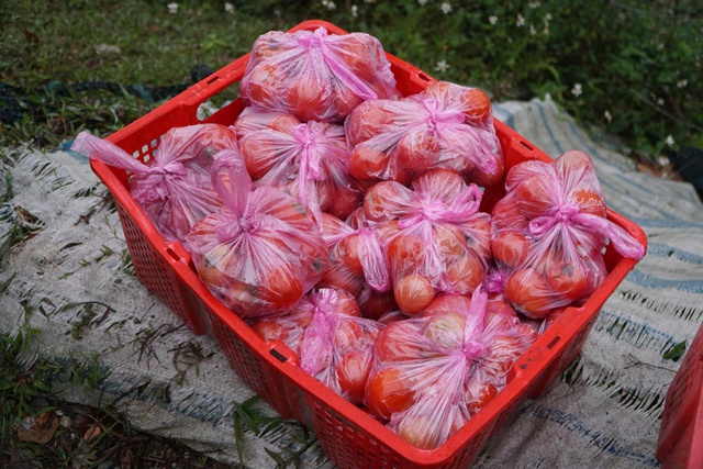 Phiên chợ ‘ném nhau’ cầu may độc nhất vô nhị ở xứ Thanh- Ảnh 4.