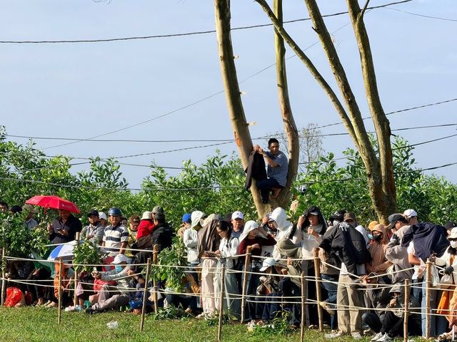 Hàng ngàn người dân thích thú xem nông dân trổ tài đua ngựa- Ảnh 7.