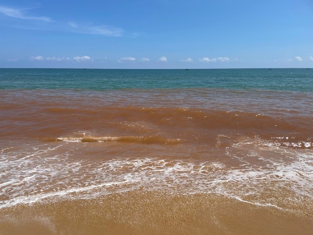 Nước biển ở Gia Lai đổi màu có nguy hiểm không?- Ảnh 1.