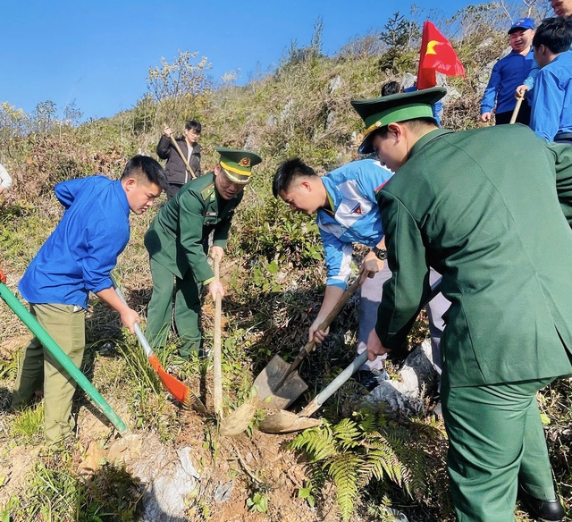 Tuyên Quang: Trồng 3.000 cây xanh ở vành đai biên giới Việt - Trung- Ảnh 1.