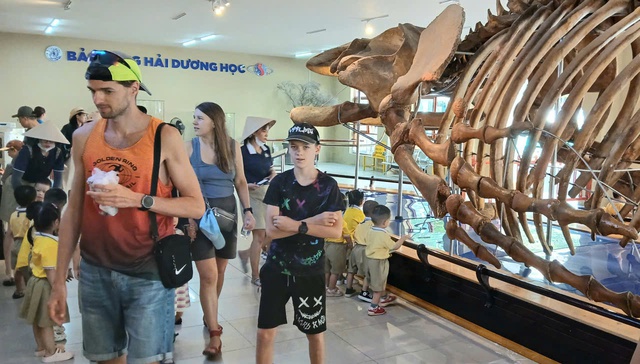 Nườm nượp người đi xem bộ xương động vật quý hiếm khổng lồ ở Khánh Hòa- Ảnh 12.