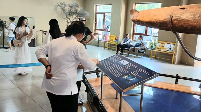 Nườm nượp người đi xem bộ xương động vật quý hiếm khổng lồ ở Khánh Hòa- Ảnh 13.