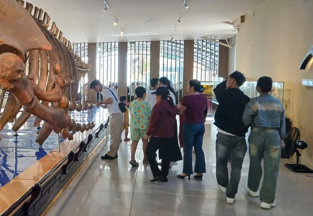 Nườm nượp người đi xem bộ xương động vật quý hiếm khổng lồ ở Khánh Hòa- Ảnh 6.