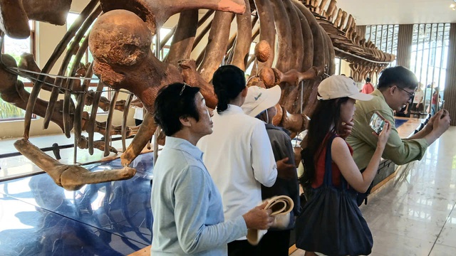 Nườm nượp người đi xem bộ xương động vật quý hiếm khổng lồ ở Khánh Hòa- Ảnh 8.