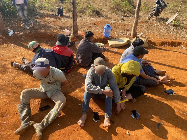 Triệt phá sới đá gà trong vườn cao su ở tỉnh Lâm Đồng- Ảnh 1.