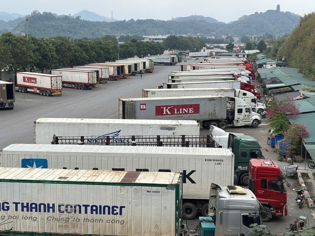 Phó Thủ tướng chỉ đạo cấp bách có hướng dẫn việc kiểm tra thực phẩm nhập khẩu- Ảnh 1.