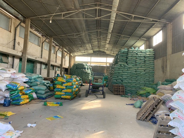 Khởi tố giám đốc sản xuất hơn 200 tấn lúa giống giả bán ra nhiều tỉnh, thành- Ảnh 2.