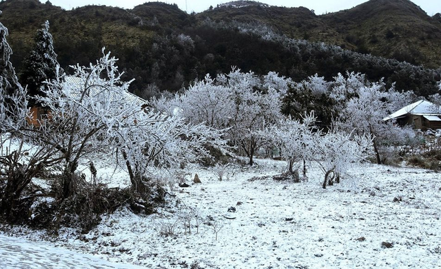 Miền Bắc có khả năng xảy ra sương muối, băng giá khi đón không khí lạnh mạnh- Ảnh 1.