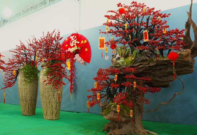 Tết Bính Ngọ: Đào đông nhập khẩu giá 'bỏng tay', người chơi tò mò- Ảnh 3.