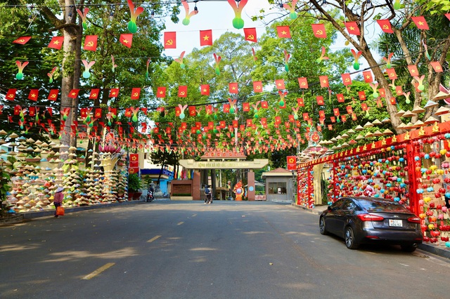 'Đường heo đất' rực rỡ sắc Xuân, điểm check-in độc đáo giữa lòng Thủ Dầu Một- Ảnh 2.