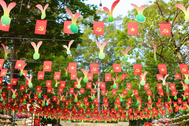 'Đường heo đất' rực rỡ sắc Xuân, điểm check-in độc đáo giữa lòng Thủ Dầu Một- Ảnh 7.