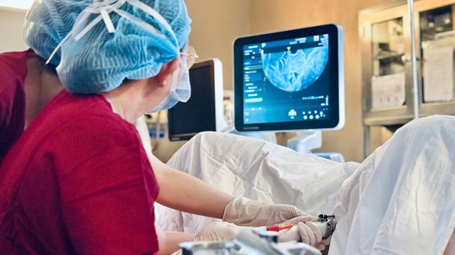 Y học hỗ trợ sinh sản Việt Nam: Kỳ tích 'lội ngược dòng' sau hai thập kỷ- Ảnh 3.