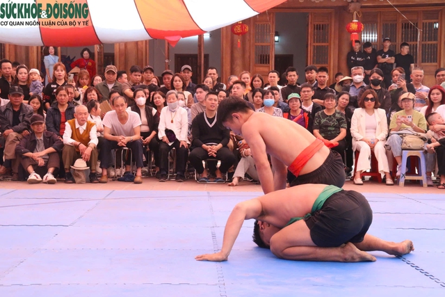 Sới vật ngày Xuân, để sân chơi là niềm tự hào của cộng đồng
Kỳ 1: Ngày Xuân đến hội xem vật- Ảnh 7.