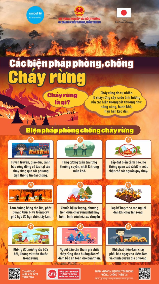 Những nguyên tắc như 'lá chắn thép' phòng chống cháy rừng- Ảnh 2.