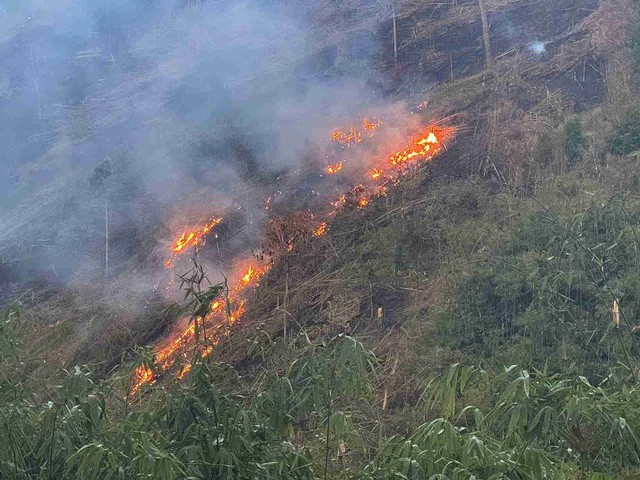 Những nguyên tắc như 'lá chắn thép' phòng chống cháy rừng- Ảnh 1.
