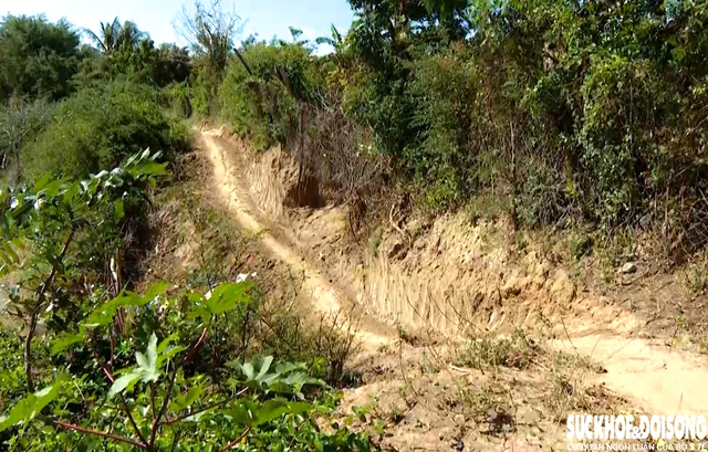 Bờ sông Lu sạt lở, 'nuốt' đường dân sinh, đe dọa đất sản xuất ở Khánh Hòa- Ảnh 4.