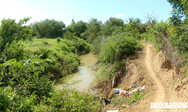 Bờ sông Lu sạt lở, 'nuốt' đường dân sinh, đe dọa đất sản xuất ở Khánh Hòa- Ảnh 1.