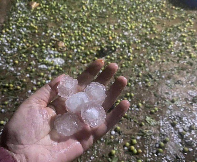 2 trạm y tế và 7 điểm trường bị hư hỏng do dông lốc, mưa đá ở Tuyên Quang- Ảnh 1.