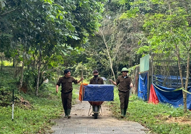 Cận cảnh nhiều động vật hoang dã quý hiếm về lại rừng già- Ảnh 3.