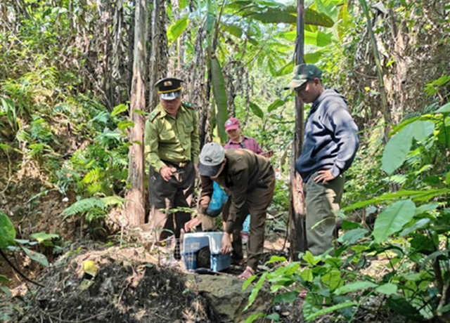 Cận cảnh nhiều động vật hoang dã quý hiếm về lại rừng già- Ảnh 1.