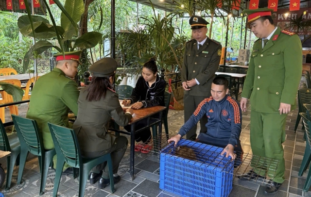 Đưa hàng loạt động vật quý hiếm trở lại rừng xanh- Ảnh 3.