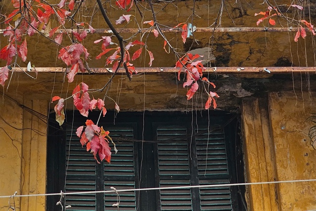 Miền Bắc mưa rải rác buổi sáng, hửng nắng vào trưa chiều- Ảnh 1.