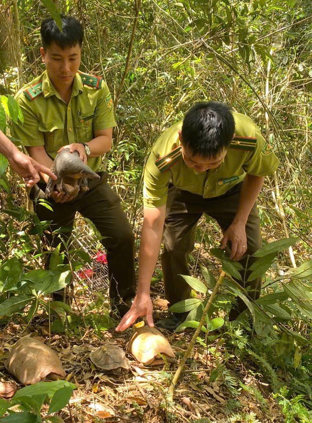 Thả nhiều động vật quý hiếm về đại ngàn Tây Nguyên- Ảnh 2.