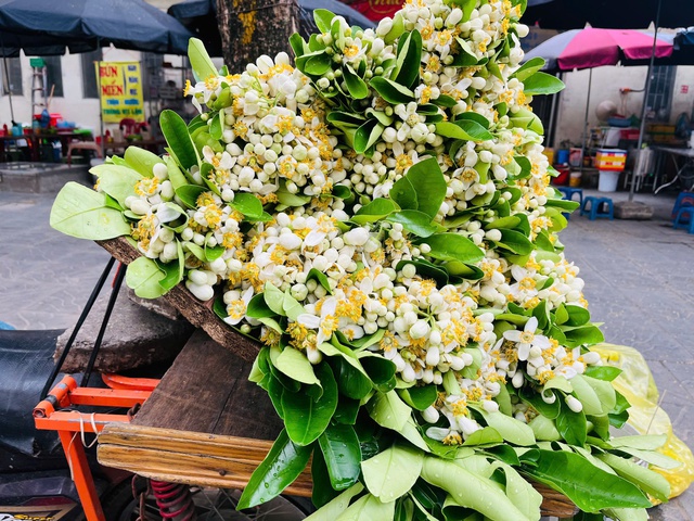 Hoa bưởi xuống phố ngày Rằm tháng Giêng- Ảnh 1.