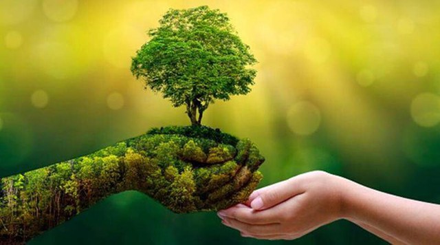 Chuyển đổi số – xanh: Động lực lớn nhưng chưa dễ 'bật công tắc' cho nông nghiệp- Ảnh 1. Chuyển đổi số – xanh: Động lực lớn nhưng chưa dễ 'bật công tắc' cho nông nghiệp- Ảnh 1.