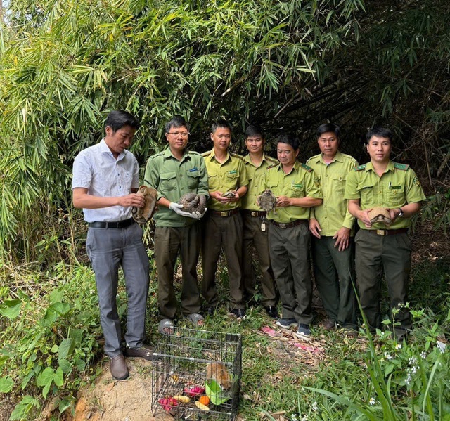 Video: Kỳ thú khoảnh khắc thả động vật quý hiếm về rừng- Ảnh 1. Video: Kỳ thú khoảnh khắc thả động vật quý hiếm về rừng- Ảnh 1.