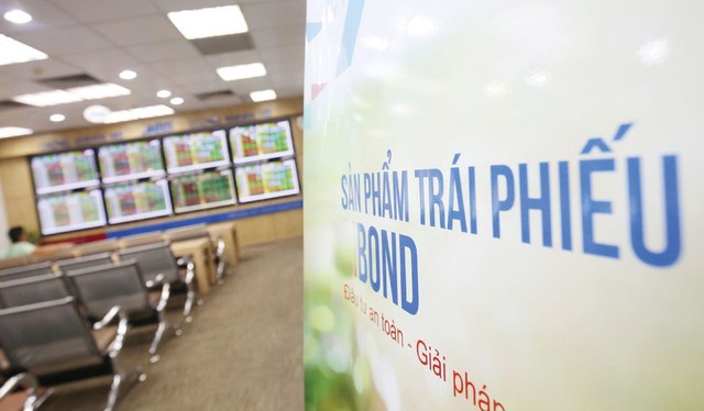 Công ty Cổ phần Lavida Invest bị xử phạt- Ảnh 1.