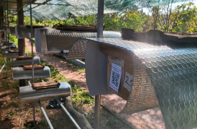 Biến vùng đất khô cằn ở Khánh Hòa thành làng ong Dú trù phú- Ảnh 1.