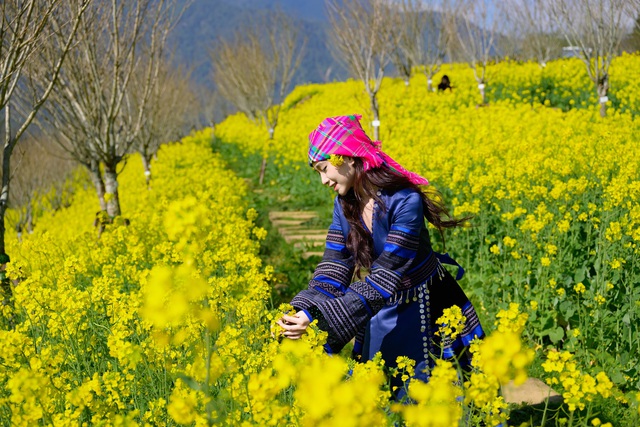 Sa Pa: 8/3 này, lên Fansipan 'săn' mây, ngắm hoa và xem show 'Đỉnh thiêng du ký'- Ảnh 1.